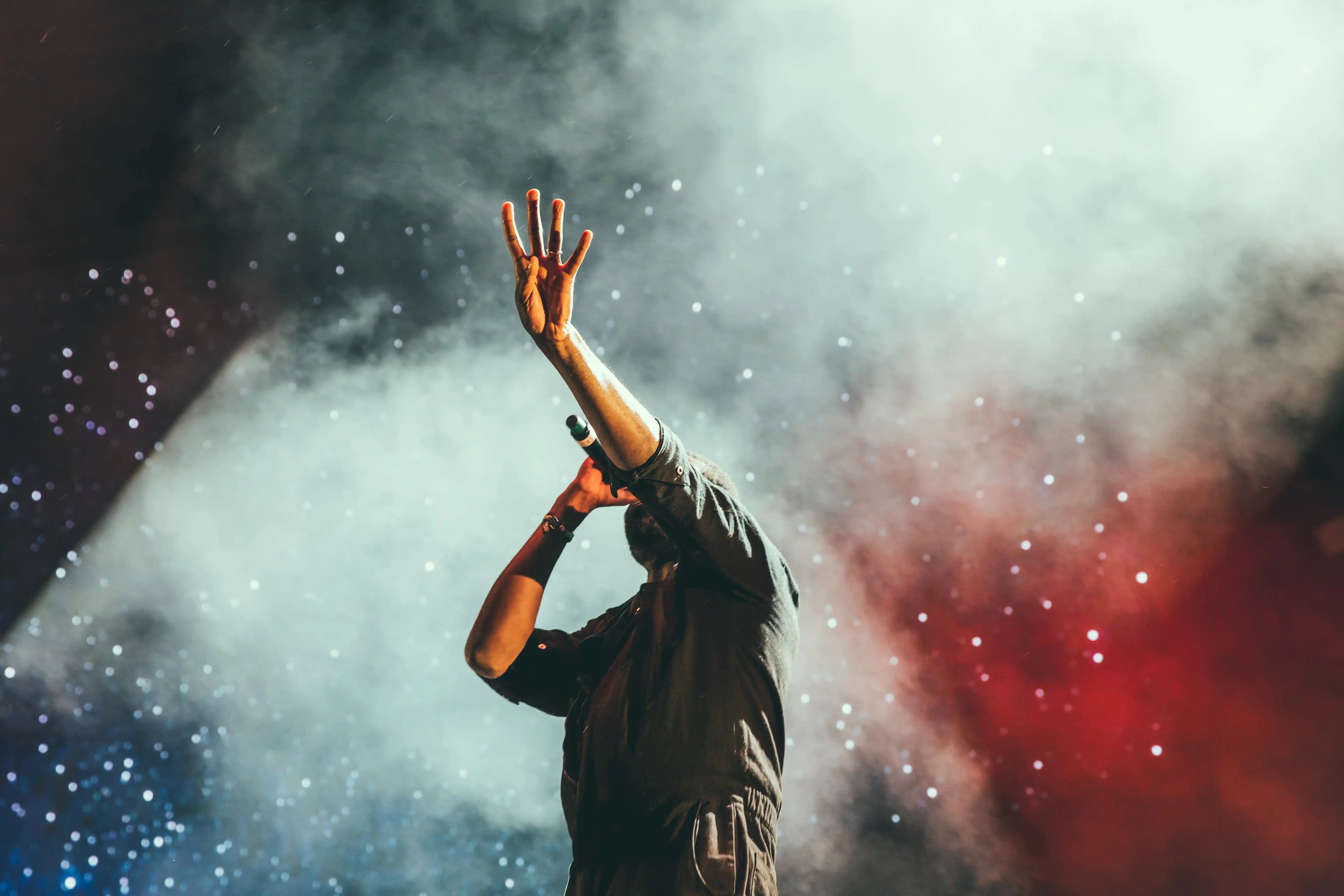 Photo d'un chanteur lors d'un concert